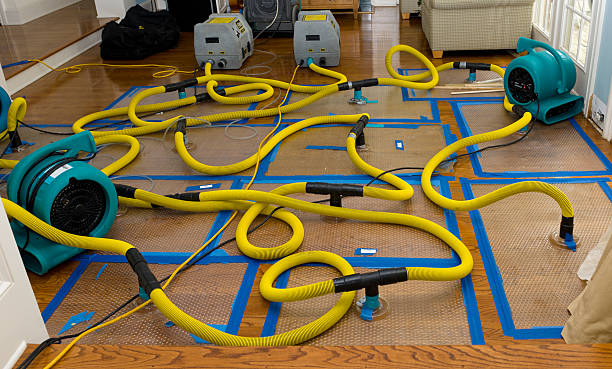 Professional Crawl Space Water Removal technician working in Arden, NC